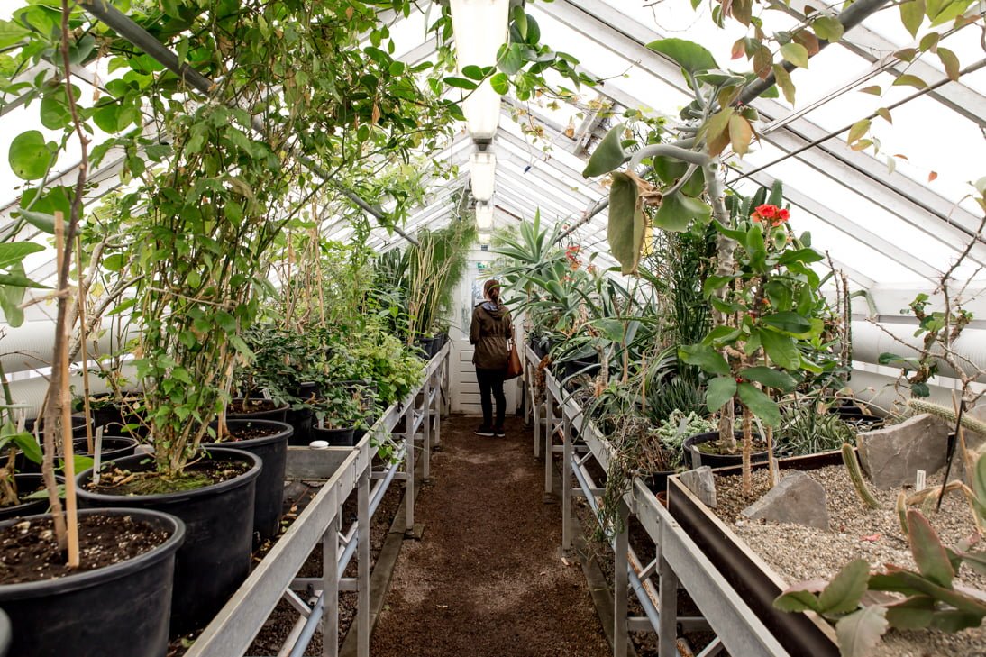 Botanische Tuin TU Delft MuseumTV