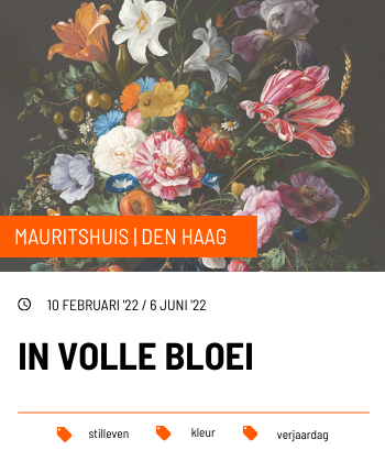 tentoonstellingsagenda mauritshuis in volle bloei